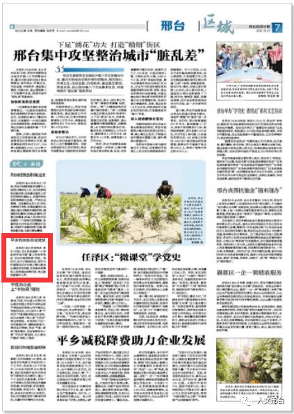 “2023金渝奖”评选结果揭晓